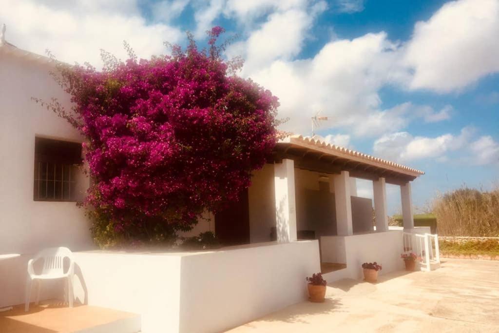 Casa Rural Es Cap de Barbaria San Francisco Javier Bagian luar foto